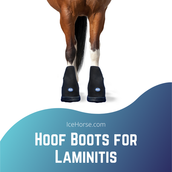 Ice boots for laminitis discount