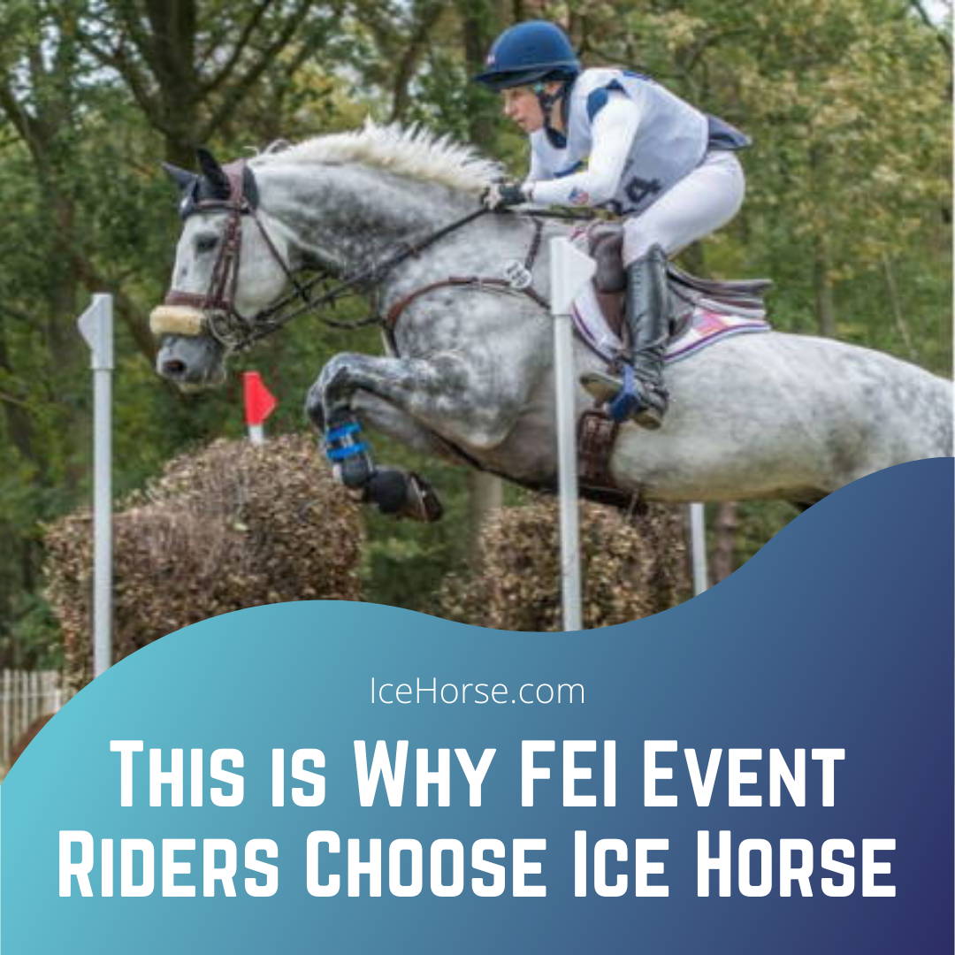 Mystic Ice Equine Cryotherapy - Therapy and Equipment Sales