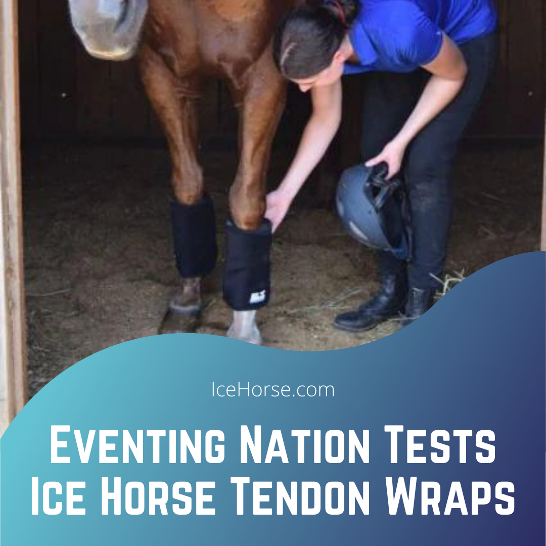 Eventing Nation Tests Ice Horse Tendon Wraps