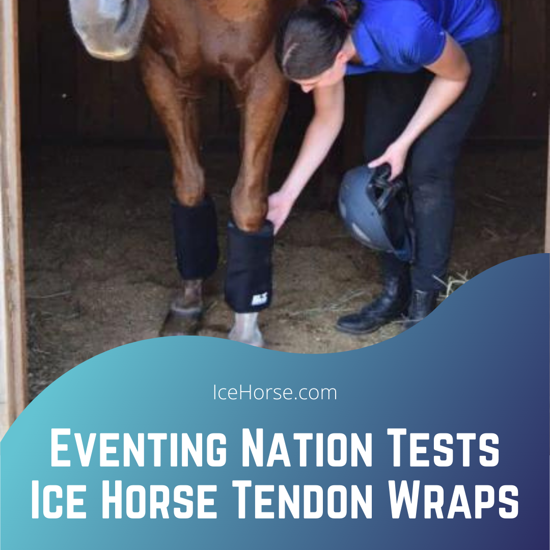 Draft Horse Ice Therapy Tendon Wrap - Sold as One Draft Horse Ice Therapy Tendon Wrap - Sold as One