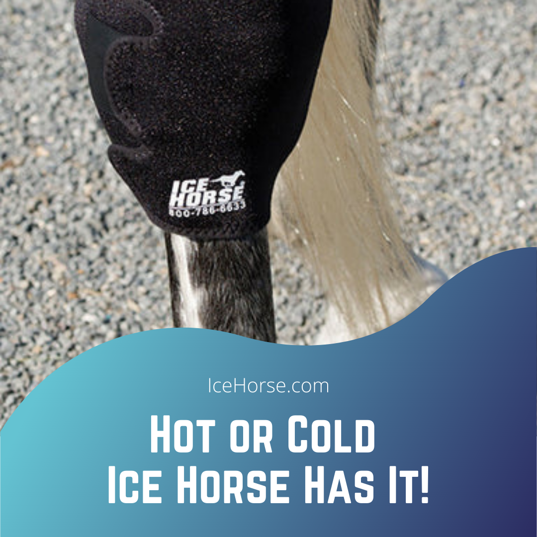 The Carolina Equestrian - Hot or Cold Ice Horse Has It!