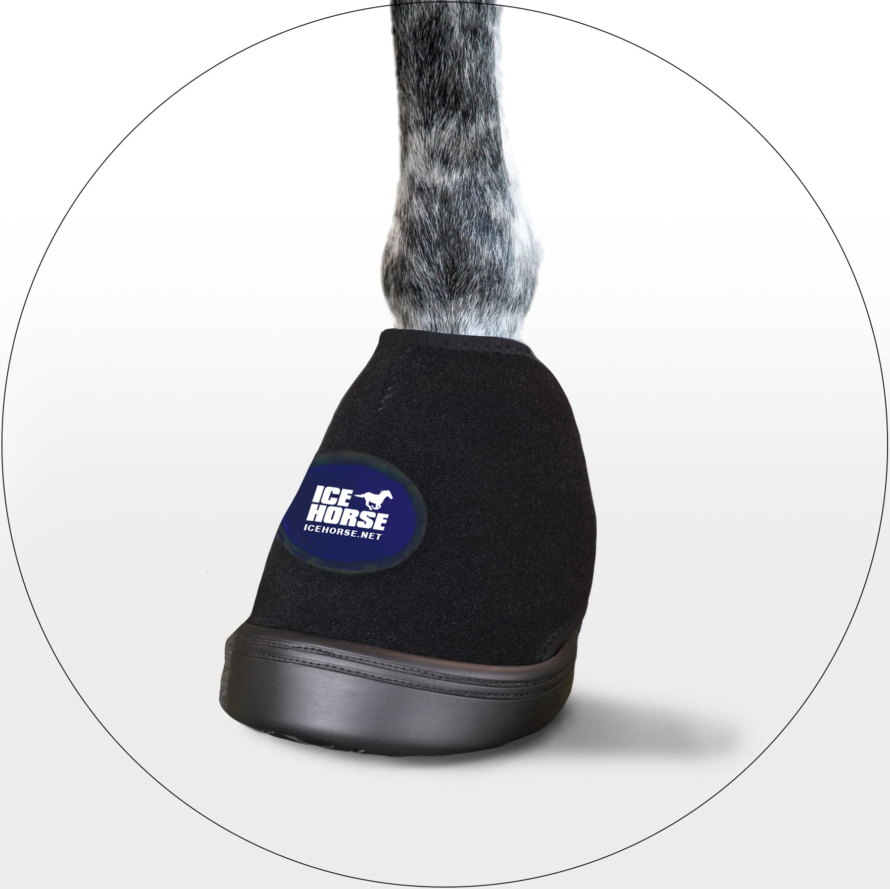Hoof Care