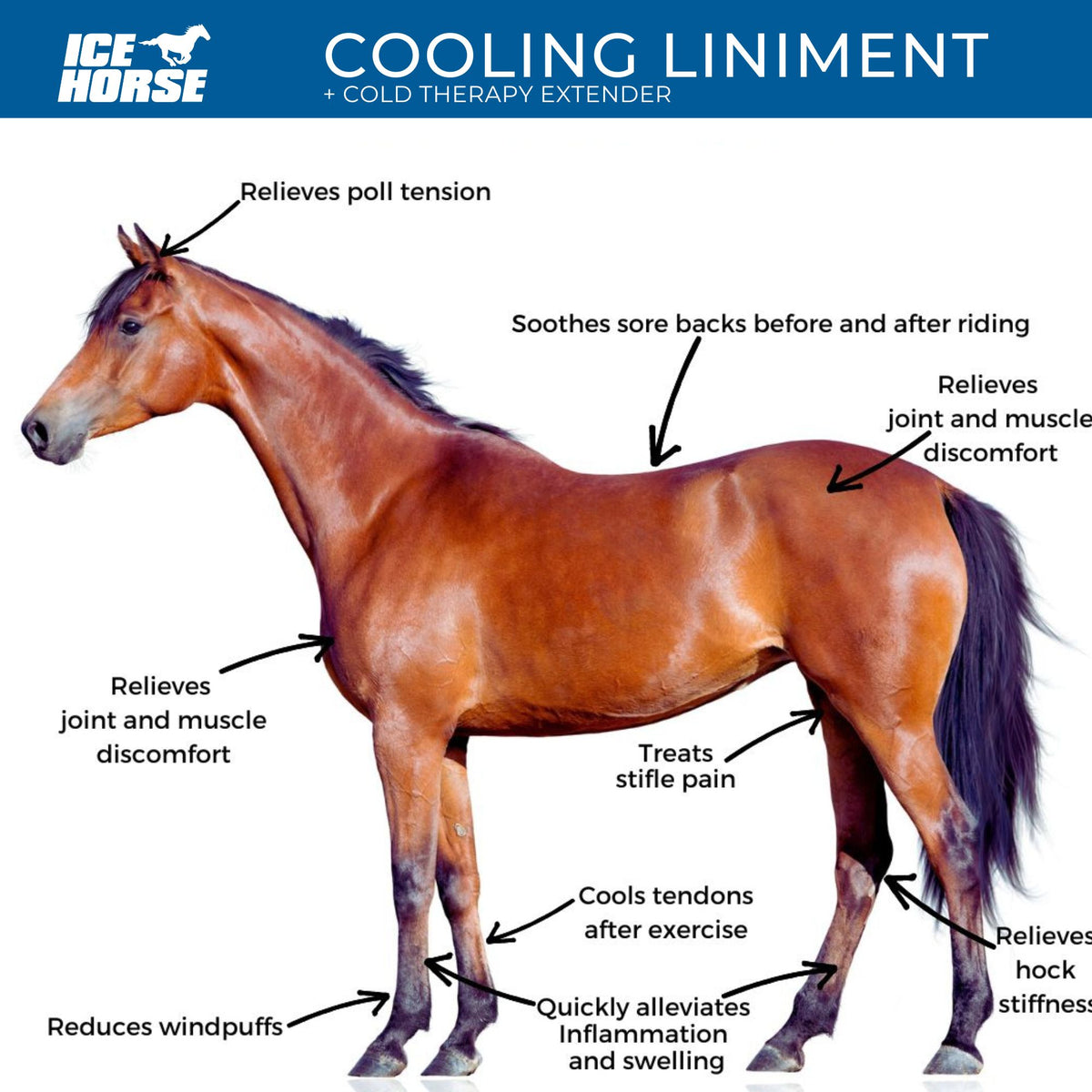 Cold Liniments Cooling Liniment and Cold Therapy Extender - MacKinnon Products