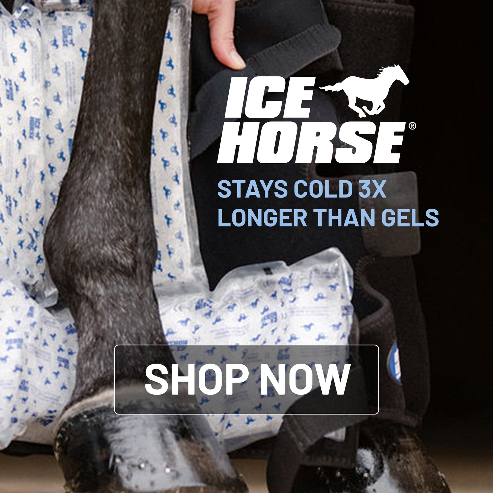 Ice Horse Tendon Boots