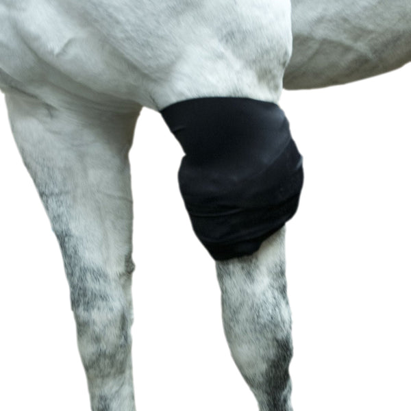 Multi Purpose Equine Ice WrapTreat Bumps & Bruises Ice Horse