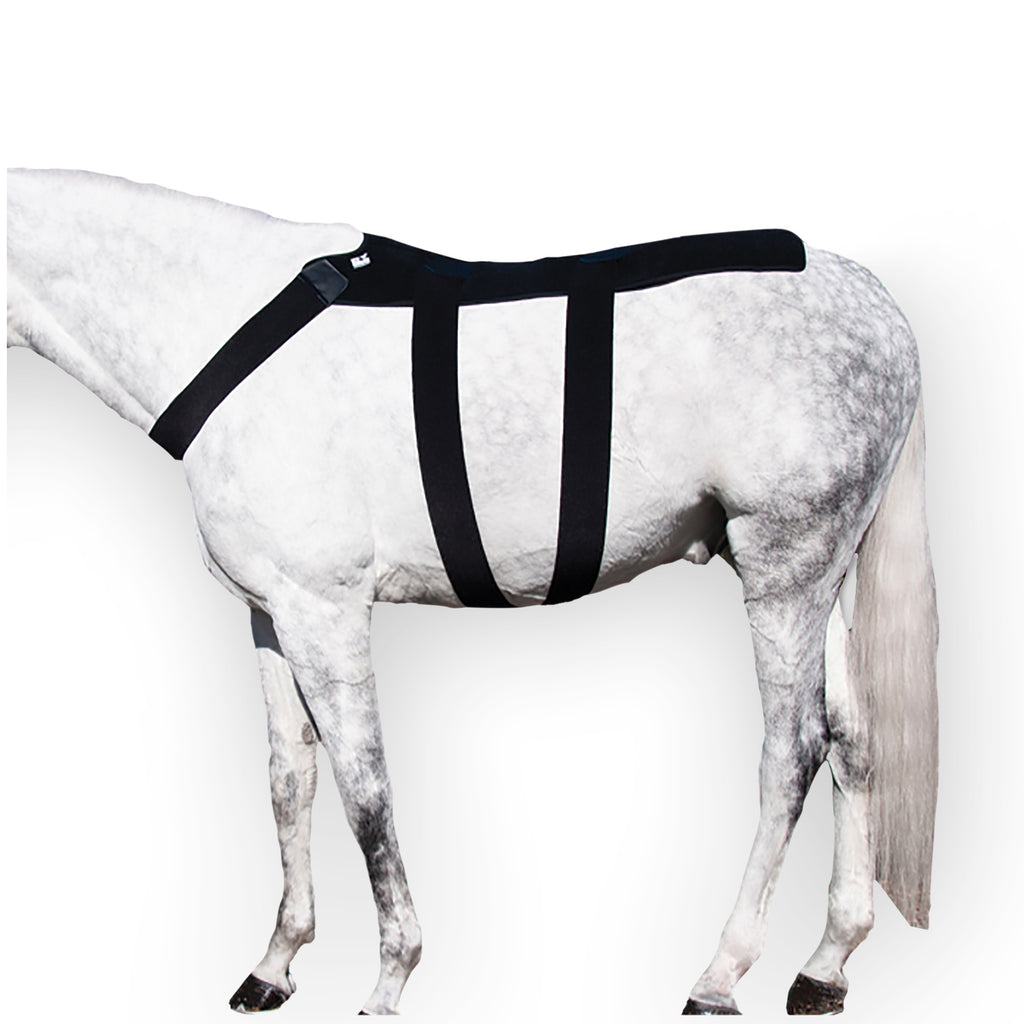 Ice Therapy Horse Blanket to Prevent Kissing Spine in Horses