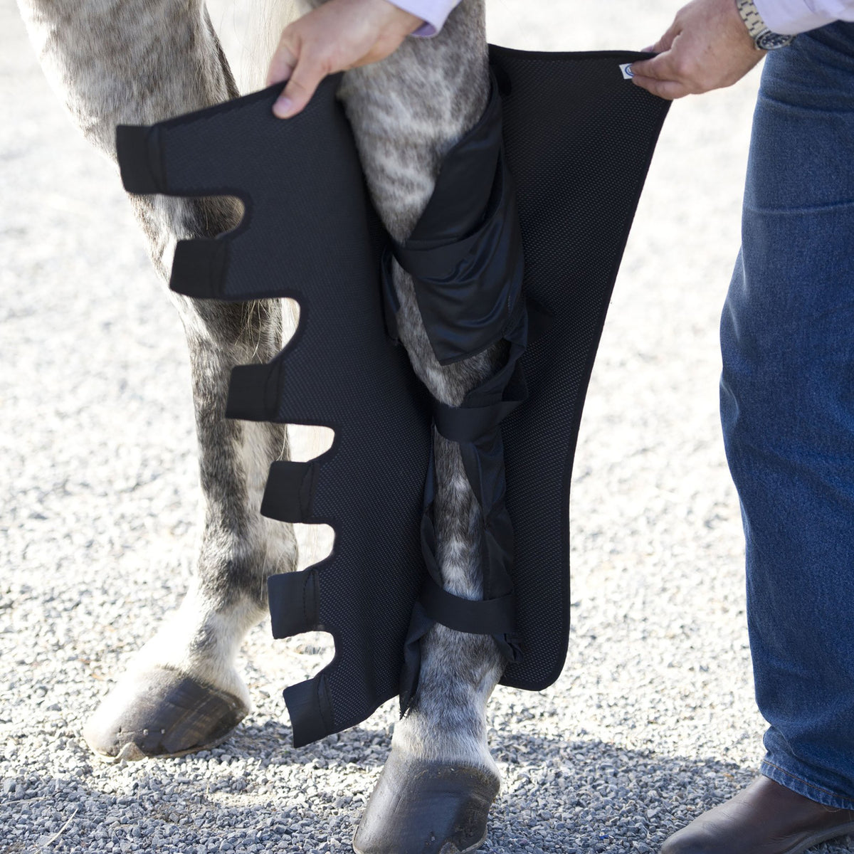 Equine Ice Wraps for Hind Legs - MacKinnon Products
