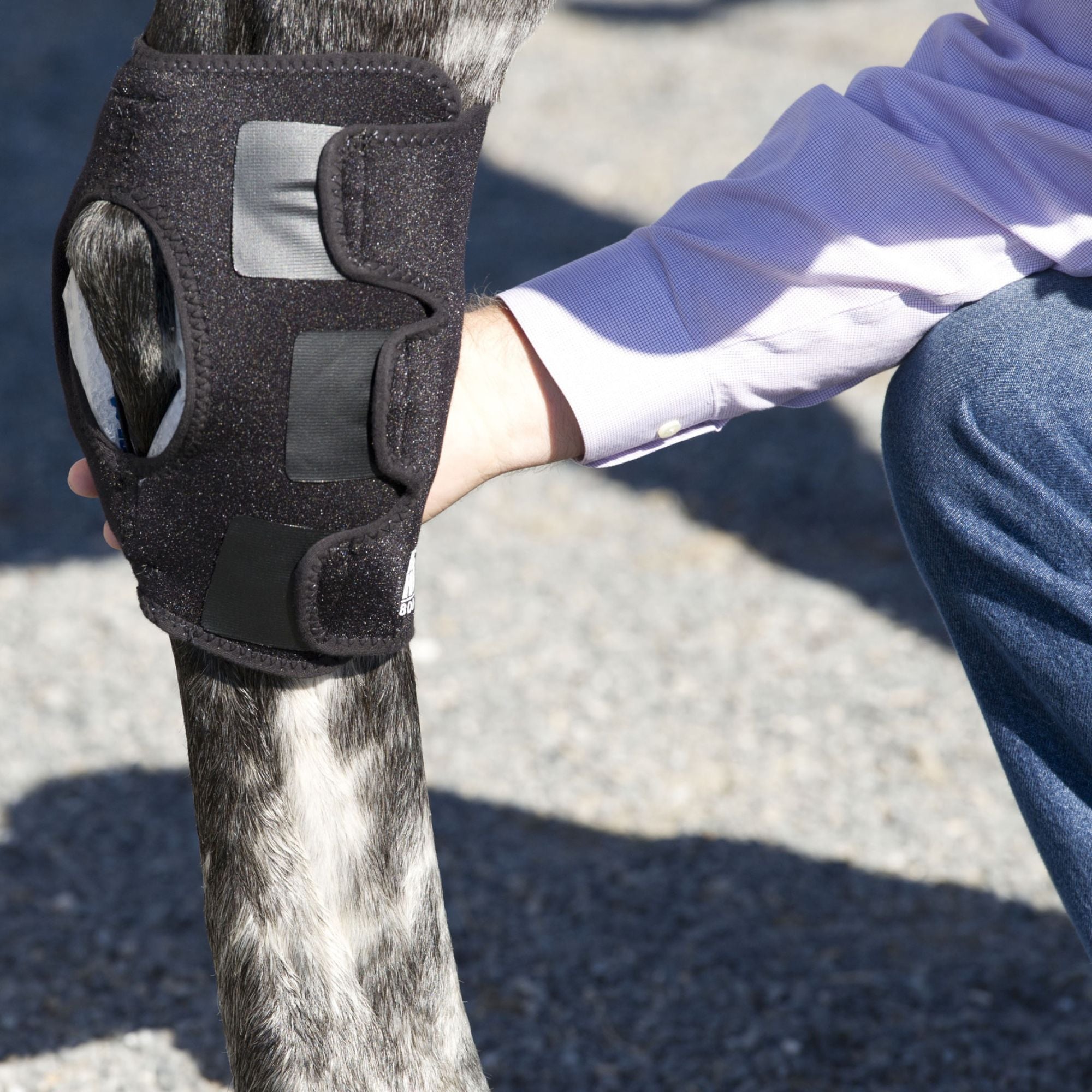 Ice Horse Hock Wraps reduce pain, inflammation and swelling of hock joints MacKinnon Products