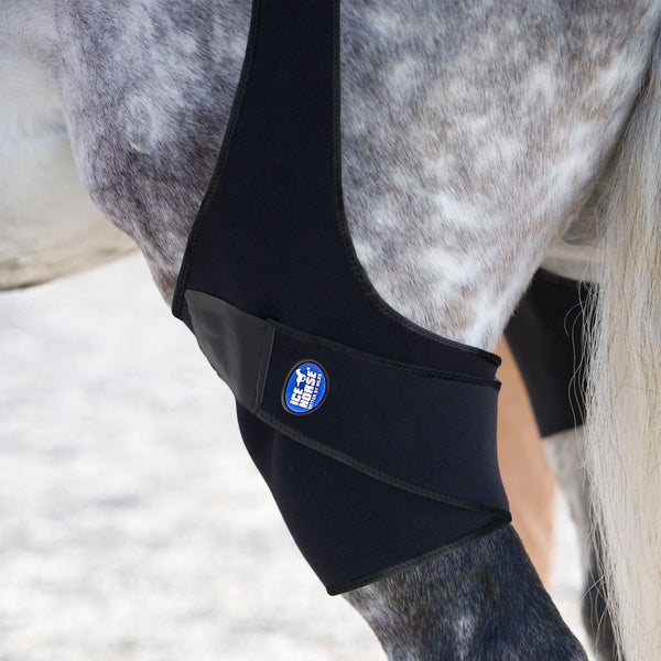 Ice Wrap to Prevent Stifle Injuries in Horses MacKinnon Products
