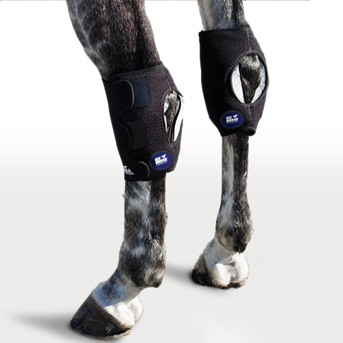 Hock wraps best sale